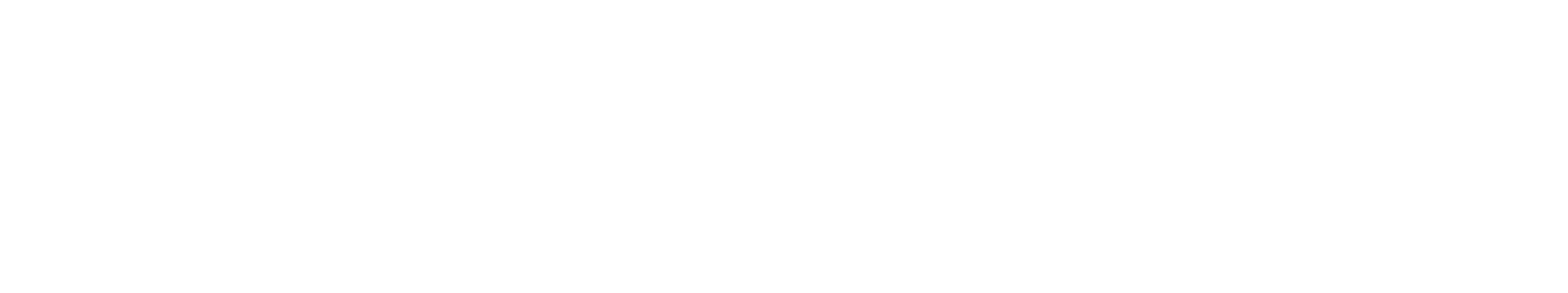 Romo Group